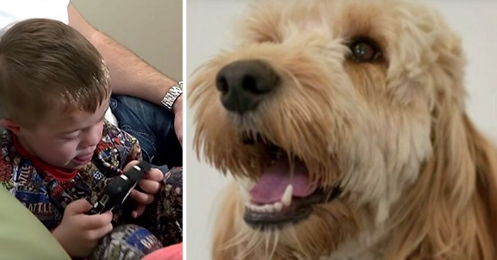 boy-saved-by-dog