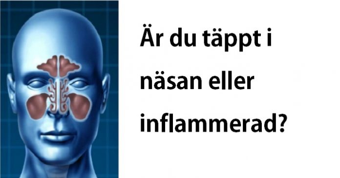 tät i bihålorna tät i bihålorna