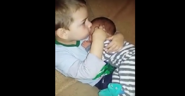 3-åringen vägrar att släppa sin lillebror. Videon smälter nu hjärtan över hela världen! 3-åringen vägrar att släppa sin lillebror. Videon smälter nu hjärtan över hela världen!