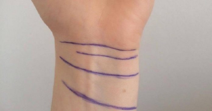 10cara.190